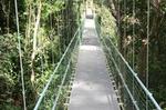 Roatan Shore Excursion: Hanging Bridges Eco Tour and Beach Break