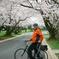 Viator Exclusive: Cherry Blossom Bike Tour in Washington DC