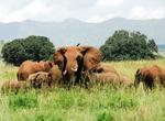 Explore Kidepo Valley National Park, Uganda