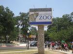 Visit San Antonio Zoo and Aquarium, San Antonio, Texas