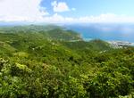 Explore Mount Sage National Park, Tortola, BVI