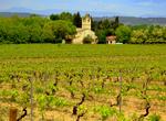 Wine Tasting in Penedès, Spain