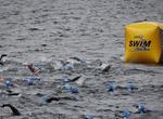 Swim in the Great Swim, Windermere, England