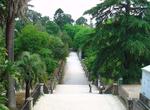 See Botanical Garden of the University of Coimbra, University of Coimbra, Portugal