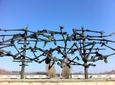 Private Tour: Dachau Concentration Camp Memorial Site by Train from Munich