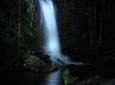 Mt Tamborine National Park 4WD Nocturnal Rainforest and Glow Worm Tour