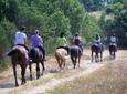 Tuscan Hills Horseback Riding Tour from Siena