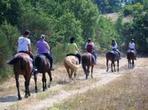 Tuscan Hills Horseback Riding Tour from Siena