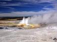 4-Day Yellowstone and Grand Teton National Parks Wildlife Adventure
