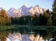 Grand Teton National Park Tour from Jackson Hole