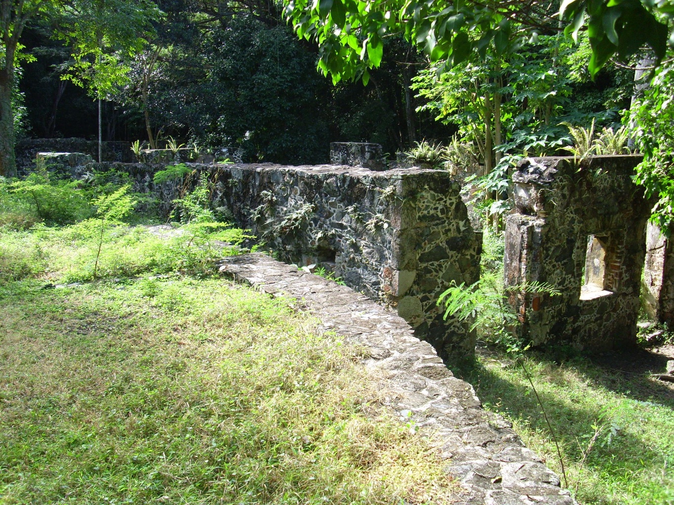 Catherineburg Sugar Plantations (Cinnamon Bay)