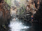 Swim in Las Grietas, Santa Cruz Island, Galápagos