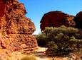 Kings Canyon Day Trip from Ayers Rock (Uluru)