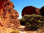 Kings Canyon Day Trip from Ayers Rock (Uluru)