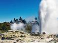 Tauranga Shore Excursion: Rotorua Highlights