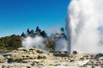 Tauranga Shore Excursion: Rotorua Highlights