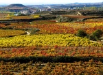 Cycle through Spain's Rioja Vineyards