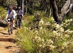 Mountain Bike Munda Biddi Trail, Western Australia