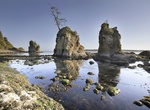 Visit Tillamook Bay, Oregon