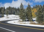Drive Grand Mesa Scenic and Historic Byway, Colorado