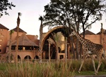 Stay at Disneys Animal Kingdom Lodge, Kissimmee, Florida