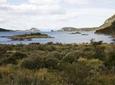 Ushuaia Shore Excursion: Private Tour of Tierra del Fuego National Park