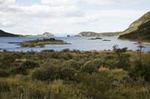 Ushuaia Shore Excursion: Private Tour of Tierra del Fuego National Park