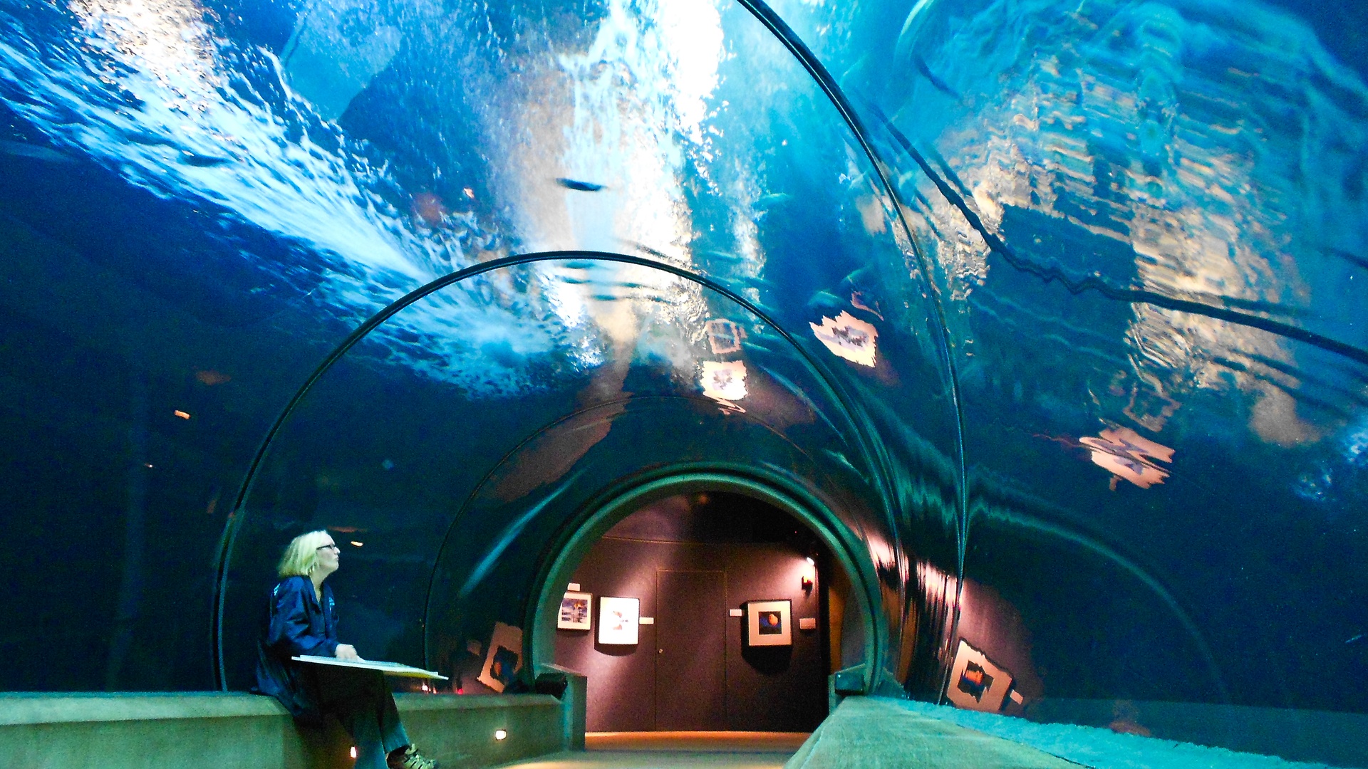 Oregon Coast Aquarium