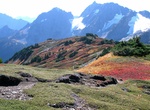 Hike Cascade Pass to Sahale Arm Trail, North Cascades National Park, Washington