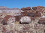 Hike Long Logs Trail, Petrified Forest National Park, Arizona