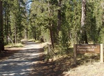 Camp at  Porcupine Flat Campground, Yosemite National Park
