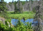 Hike Minong Ridge Trail, Isle Royale National Park