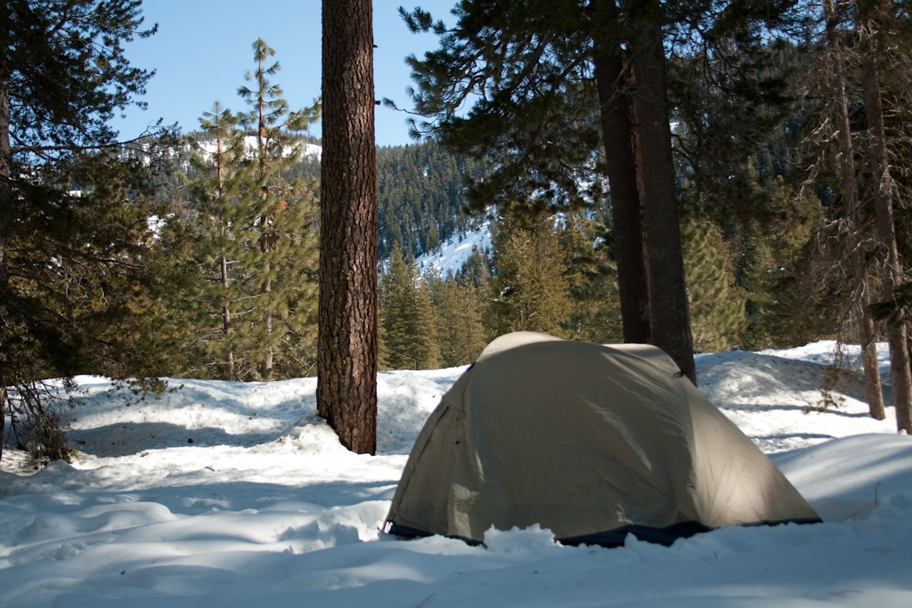 Lodgepole Campground