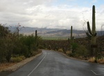Drive or Cycle Cactus Forest Loop Drive, Saguaro National Park