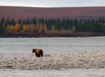 Explore Noatak National Preserve, Alaska 