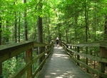 Walk along Boardwalk Loop, Congaree National Park, Congaree National Park