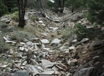 See Osceola Ditch, Great Basin National Park, Nevada