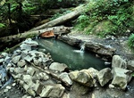 Hike to Olympic Hot Springs, Olympic National Park, Washington