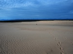 Explore Great Kobuk Sand Dunes, Kobuk Valley National Park, Alaska