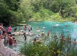 Explore Ichetucknee Springs State Park, Florida