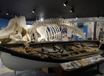 Visit the New Bedford Whaling Museum, Massachusetts