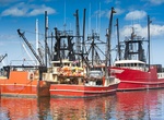 Visit New Bedford, Massachusetts