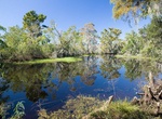 Explore Barataria Preserve, Louisiana