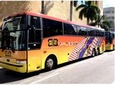 Sawgrass Mills Mall Round-Trip Transport from Miami