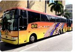 Sawgrass Mills Mall Round-Trip Transport from Miami