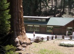 Visit Giant Forest Lodge Historic District, Sequoia National Park, California