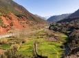Atlas Mountains and 4 Valleys Guided Day Tour from Marrakech including Lunch in Berber House