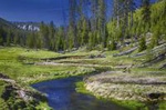 Yellowstone Old Faithful, Waterfalls and Wildlife Day Tour 