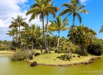 Visit Na 'Aina Kai Botanical Gardens, Kauai, Hawaii