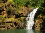 Visit Waimea Valley & Botanical Gardens, Oahu, Hawaii